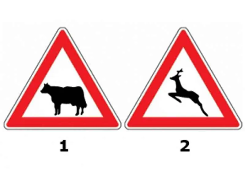 Indicatoarele alăturate te avertizează: